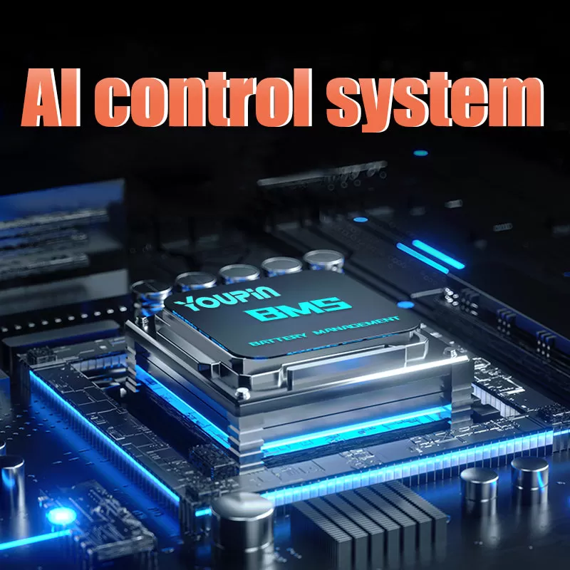 E-bike F12 48V12AH 400W Dual Motor High carbon steel frame, 14