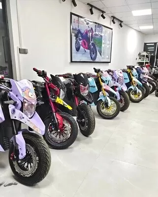 🔥Clearance sale Last five days🔥 – Lithium Battery Electric Motorcycle