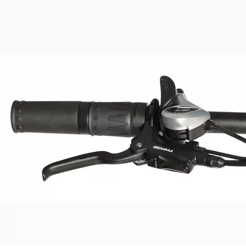 🔥Outdoor electric car with a battery life of 100 miles